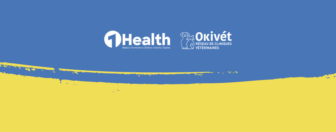 okivet solidarite accueil vétérinaires ukrainiens